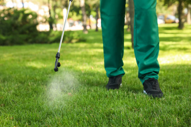 Best Affordable Pest Control Services  in Bardmoor, FL