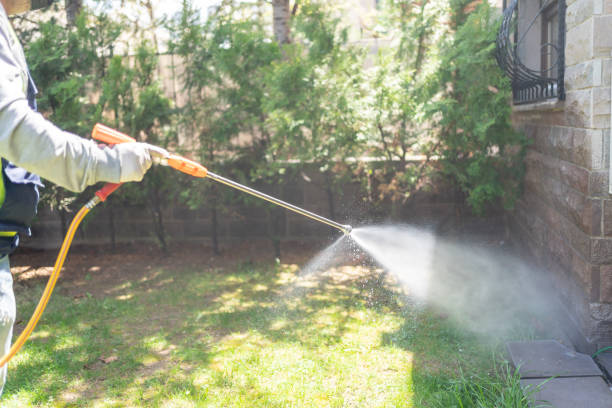 Professional Pest Control in Bardmoor, FL